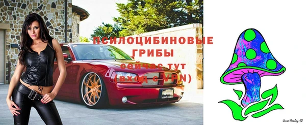 прущие крисы Абинск