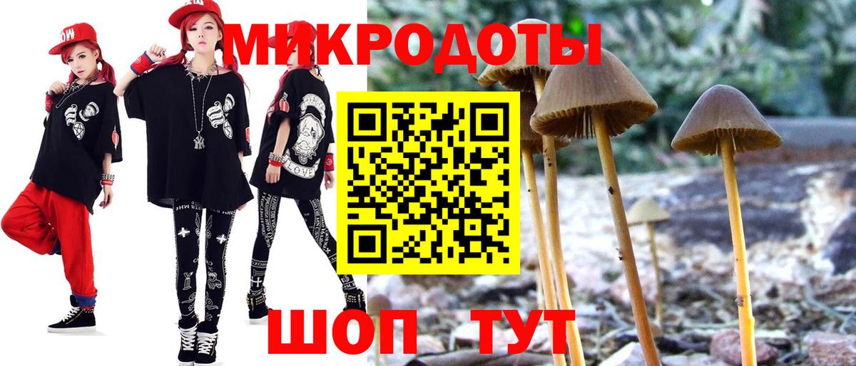 Галлюциногенные грибы Cubensis Магнитогорск